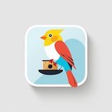 Feeder Rater